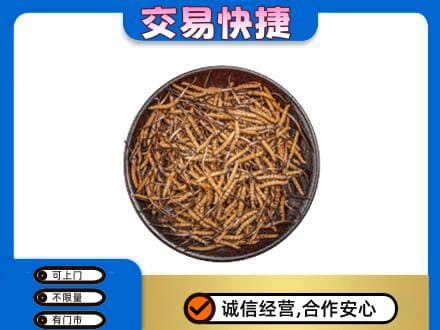 昭通市盐津礼品回收虫草.jpg